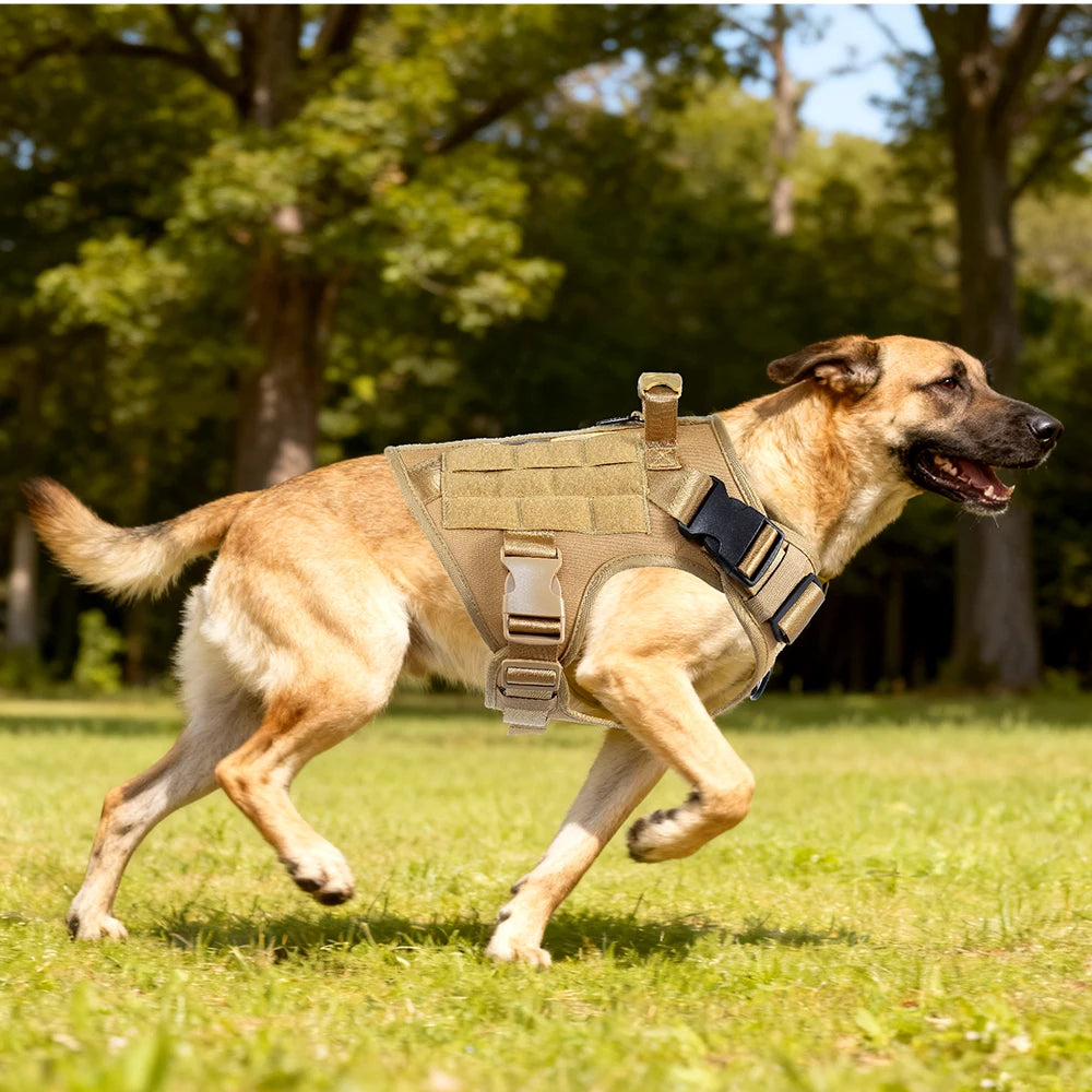 Harnais tactique chien