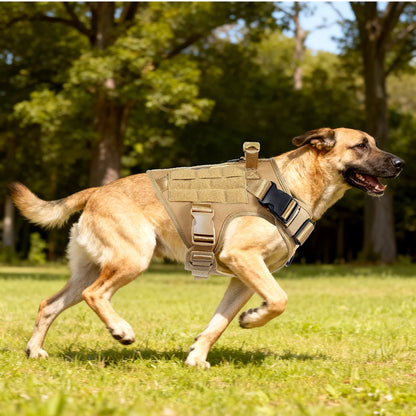 Harnais tactique chien