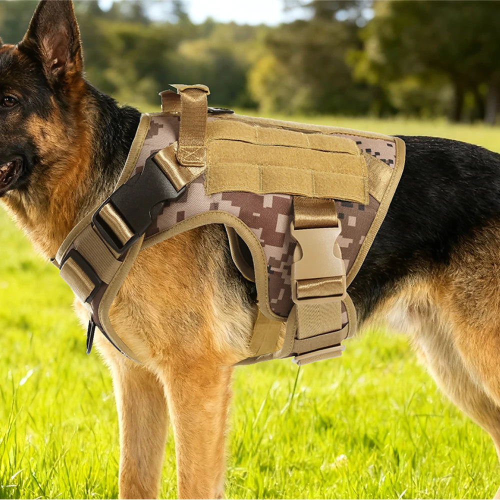 Harnais tactique chien