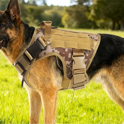 Harnais tactique chien