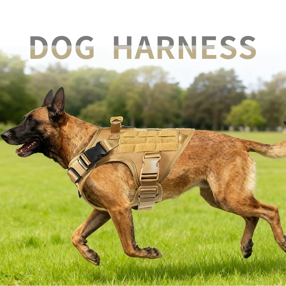 Harnais tactique chien