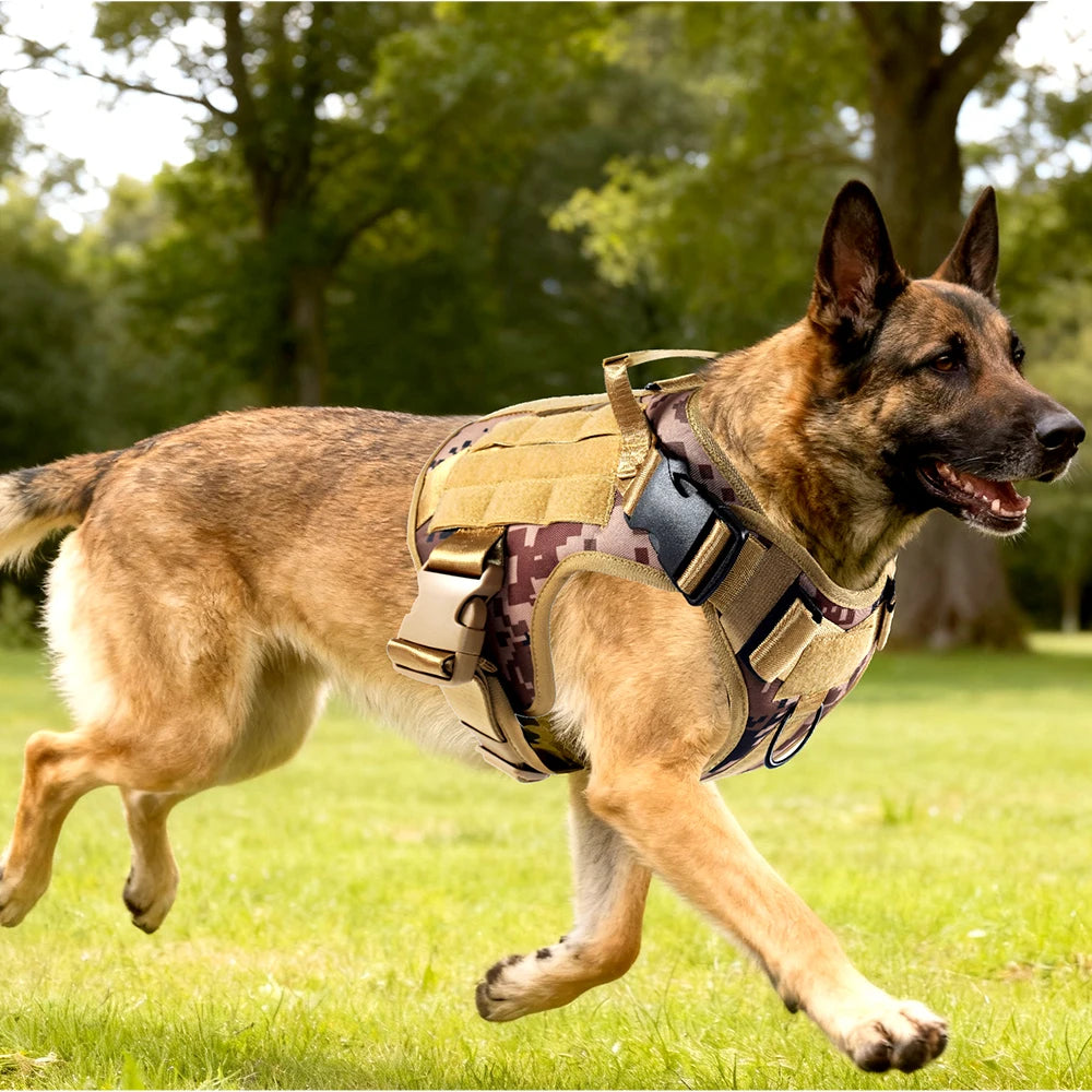 Harnais tactique chien